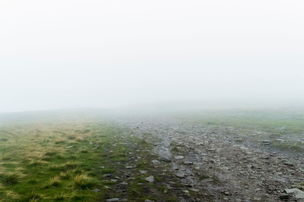 Foto vista panorámica de un campo de hierba durante el tiempo de niebla