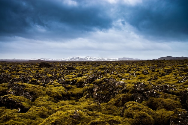 Vista panorámica de un campo de lava cubierto de musgo contra un cielo nublado