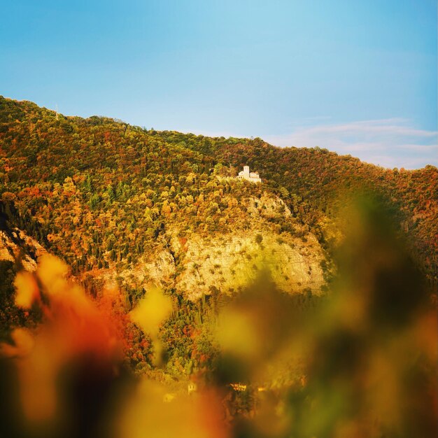 Foto vista panorámica del campo en otoño