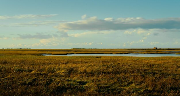 Vista panorámica del campo y una pequeña masa de agua en la costa de Norfolk Reino Unido