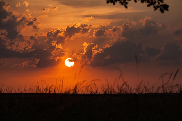 Foto vista panorámica del campo de siluetas contra el cielo durante la puesta de sol