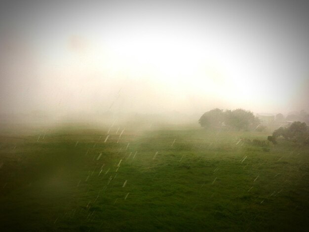Foto vista panorámica del campo en tiempo de niebla
