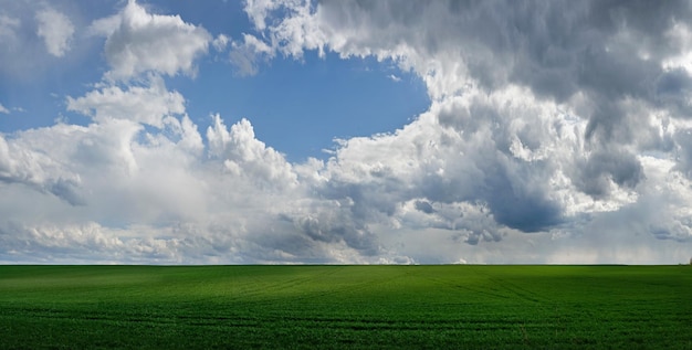 Vista panorámica del campo verde con cielo pictórico con nubes en primavera el concepto de agricultura campo de trigo plantado