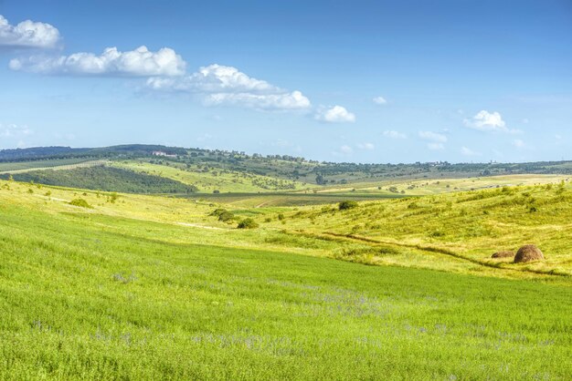Foto vista panorámica de un campo verde contra el cielo