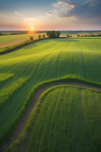 Vista panorámica de un campo verde a la luz del sol de la tarde