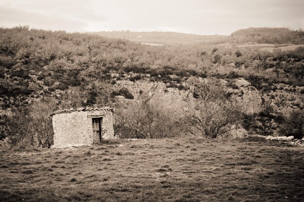 Foto vista panorámica del campo