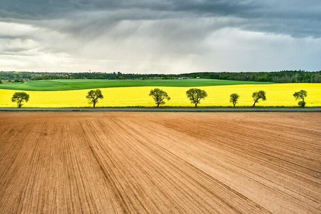 Foto vista panorámica de campos de colza vacíos y amarillos