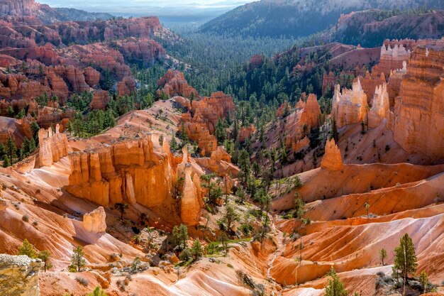 Vista panorámica del cañón Bryce