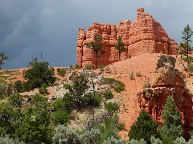 Vista panorámica de los cañones de Bryce contra el cielo