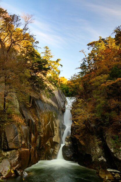 Foto vista panorámica de una cascada en el bosque durante el otoño