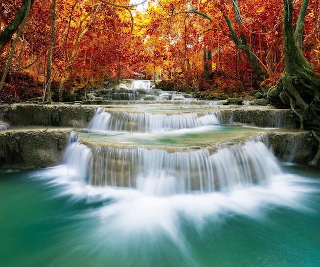 Vista panorámica de la cascada en el bosque durante el otoño