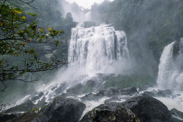 Foto vista panorámica de una cascada en el bosque