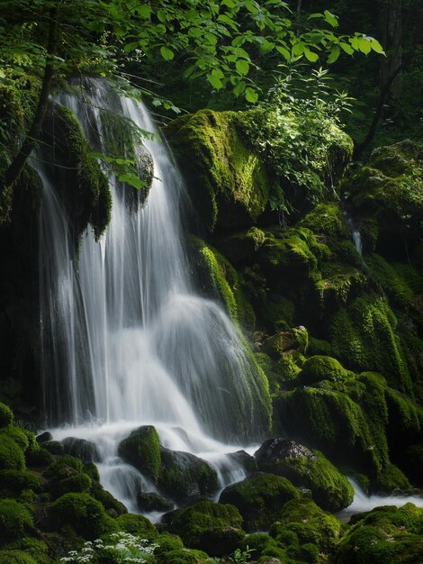 Foto vista panorámica de una cascada en el bosque