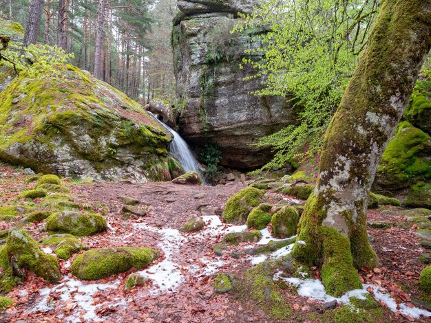 Vista panorámica de una cascada en el bosque