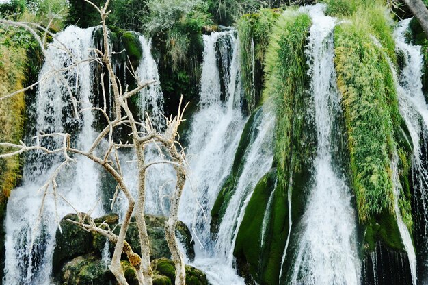 Foto vista panorámica de una cascada en el bosque