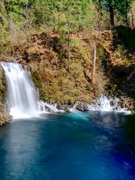 Vista panorámica de una cascada en el bosque