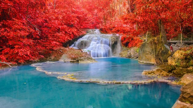 Foto vista panorámica de una cascada en el bosque