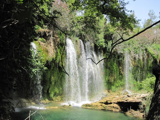 Vista panorámica de una cascada en el bosque