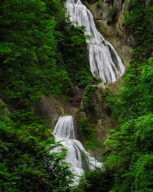 Foto vista panorámica de una cascada en el bosque