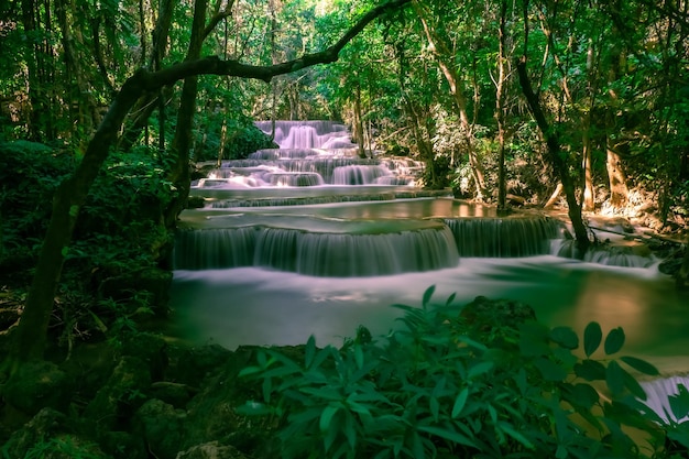 Foto vista panorámica de una cascada en el bosque