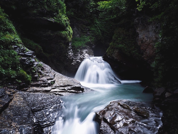 Vista panorámica de una cascada en el bosque