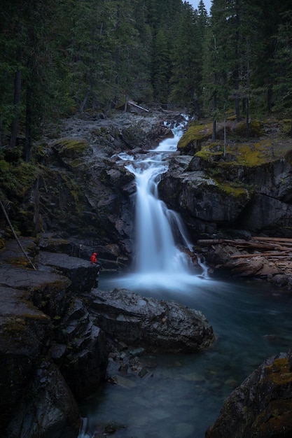Vista panorámica de una cascada en el bosque
