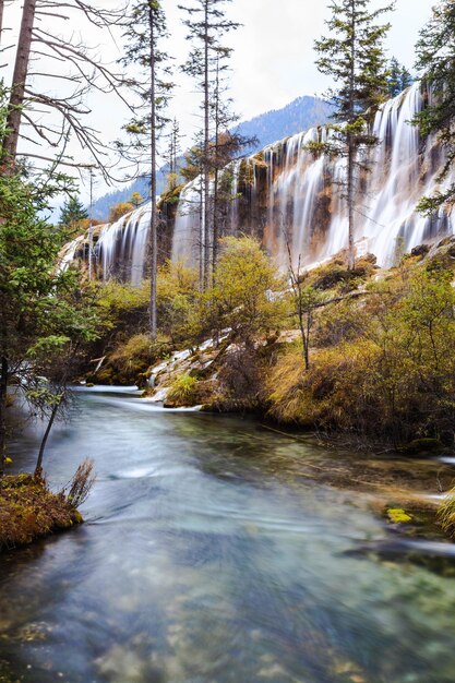 Foto vista panorámica de una cascada en el bosque