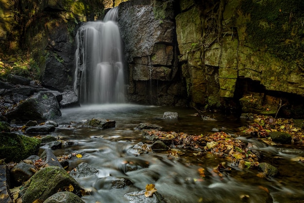 Foto vista panorámica de una cascada en el bosque