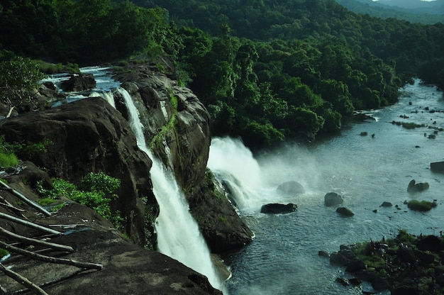 Vista panorámica de una cascada en el bosque