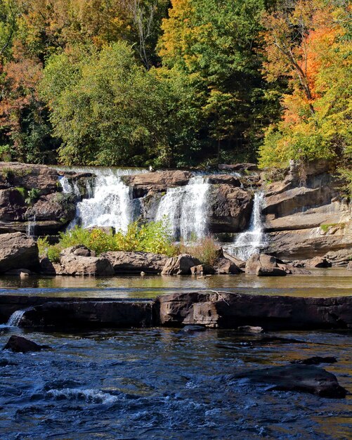 Foto vista panorámica de una cascada en el bosque