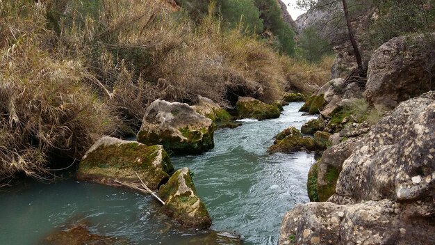Vista panorámica de una cascada en el bosque