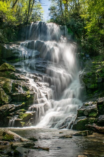 Foto vista panorámica de una cascada en el bosque