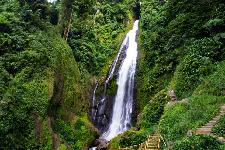 Foto vista panorámica de una cascada en el bosque