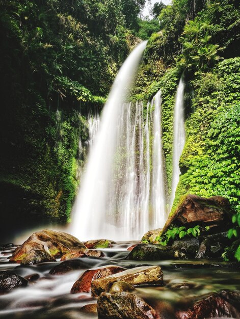 Foto vista panorámica de una cascada en el bosque