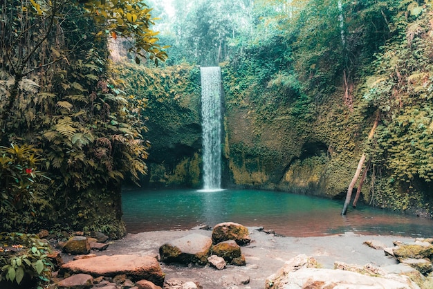 Foto vista panorámica de una cascada en el bosque