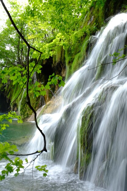 Foto vista panorámica de una cascada en el bosque