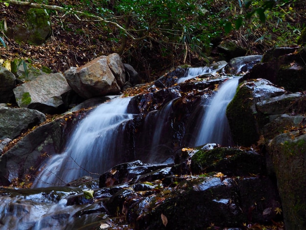 Vista panorámica de una cascada en el bosque