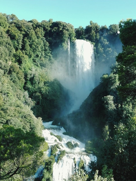 Foto vista panorámica de una cascada en el bosque