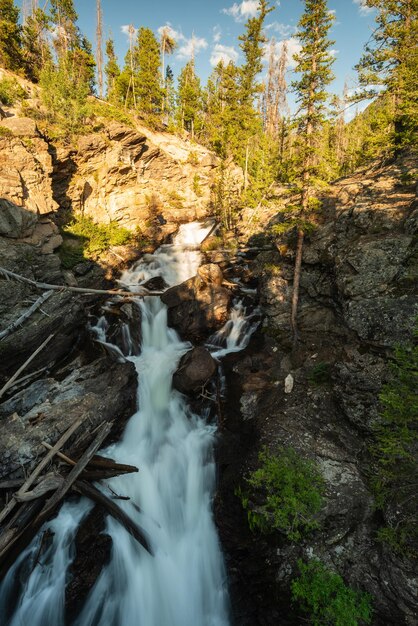 Foto vista panorámica de una cascada en el bosque