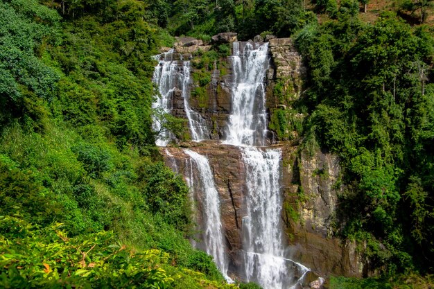 Vista panorámica de una cascada en el bosque