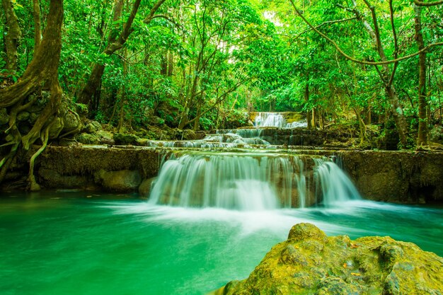 Foto vista panorámica de una cascada en el bosque