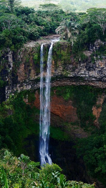 Foto vista panorámica de una cascada en el bosque