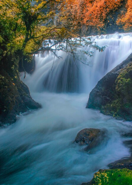 Foto vista panorámica de una cascada en el bosque