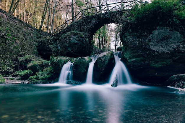 Vista panorámica de una cascada en el bosque