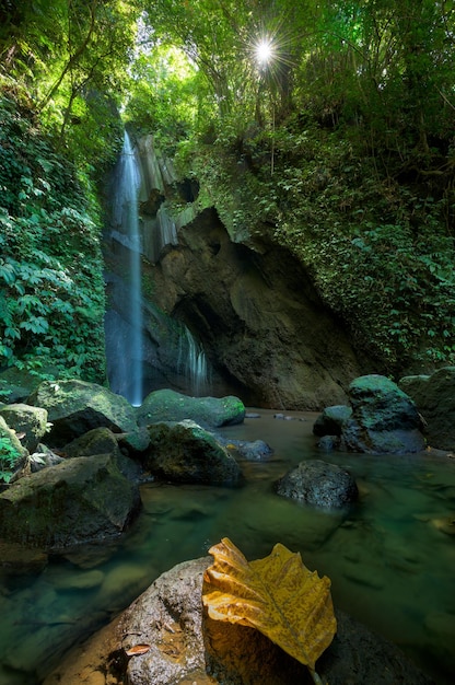 Foto vista panorámica de una cascada en el bosque