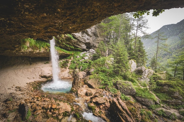 Vista panorámica de una cascada en el bosque