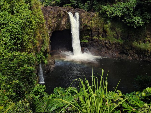 Foto vista panorámica de una cascada en el bosque