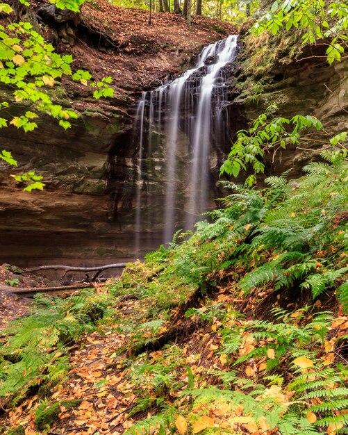 Foto vista panorámica de una cascada en el bosque