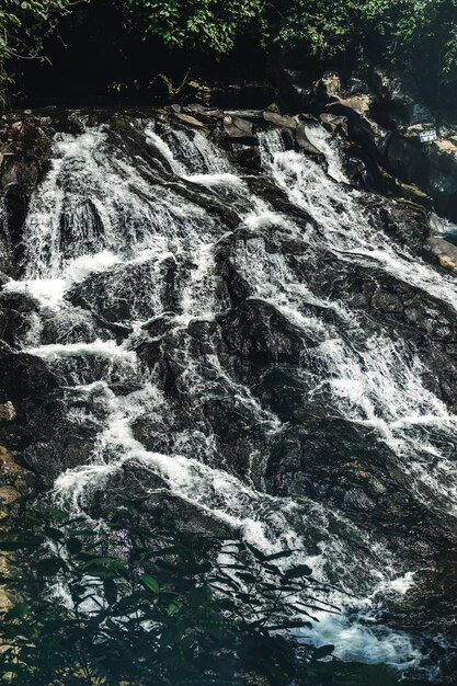 Foto vista panorámica de una cascada en el bosque