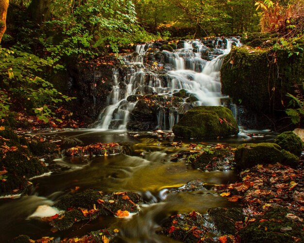 Foto vista panorámica de una cascada en el bosque